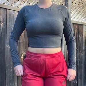Alphalete LS Crop